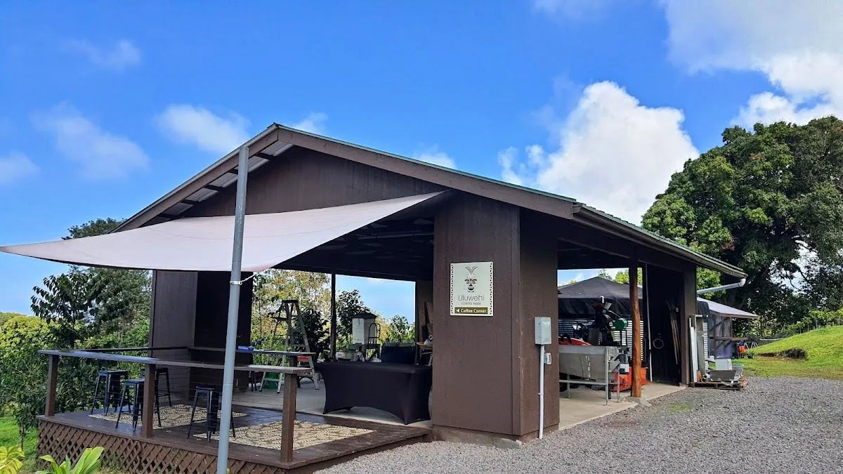 The open-sided coffee building and surrounding green hillside at Uluwehi Coffee Farm